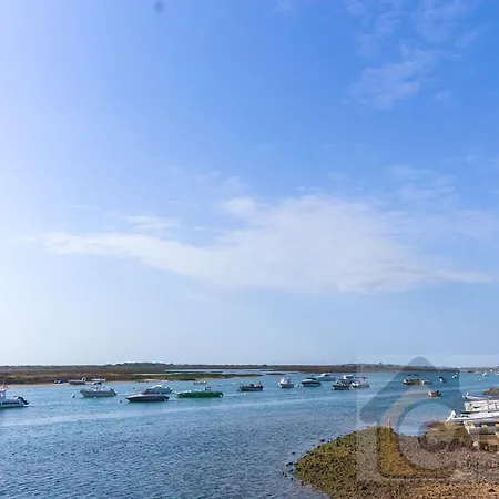 Flormar T1 By Yha * Cabanas De Tavira